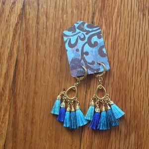 Never worn earrings